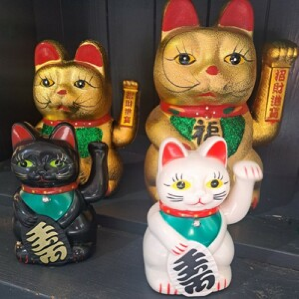 Lucky Cat