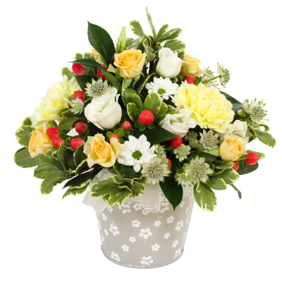 A New Day - Flowers to put a smile on their face. Let them know that you’re thinking of them with this fun petite collection of flowers and foliage to send same day. Flowers for same day delivery by the local florist.